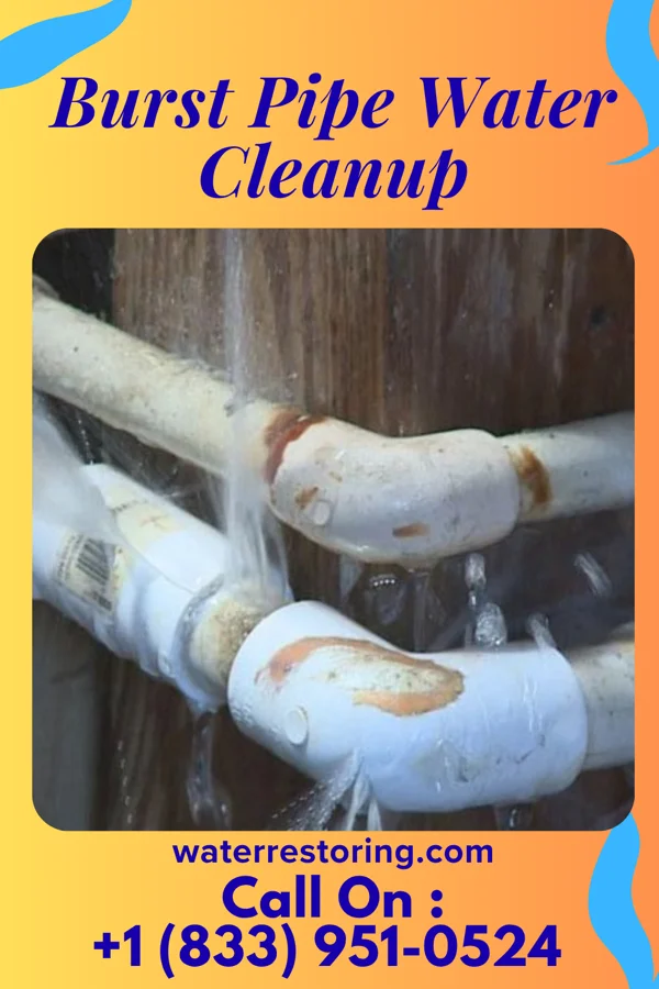 Burst Pipe Water Cleanup in Roxobel, NC