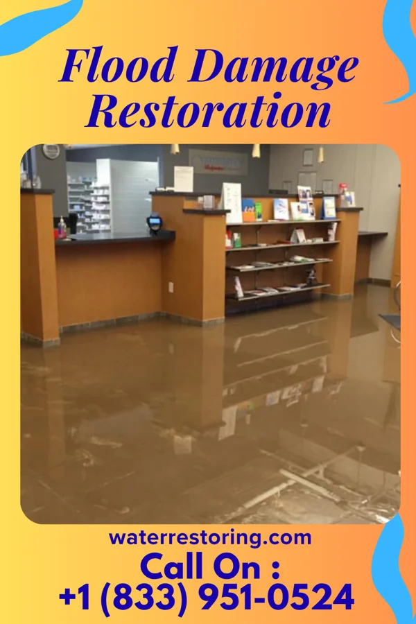 Flood Damage Restoration in Roxobel, NC
