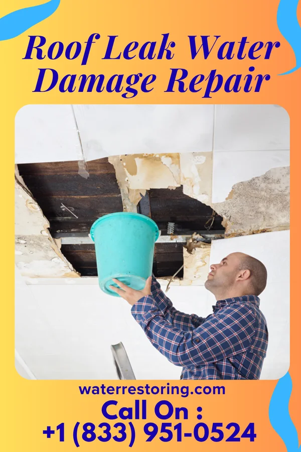 Roof Leak Water Damage Repair in Roxobel, NC